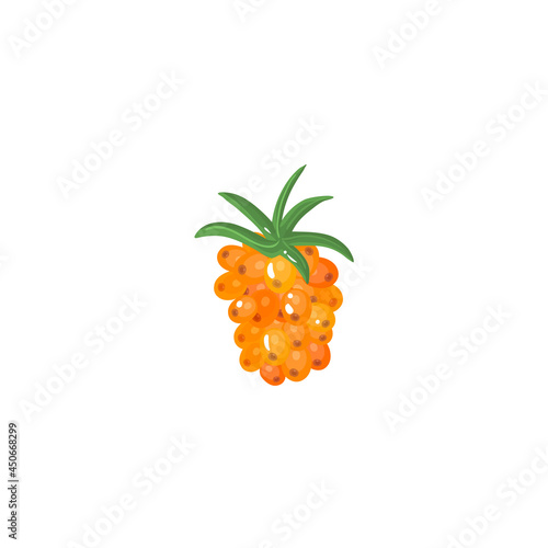 Salmonberry Boysenberry (rubus mulberry ) isolated on white background