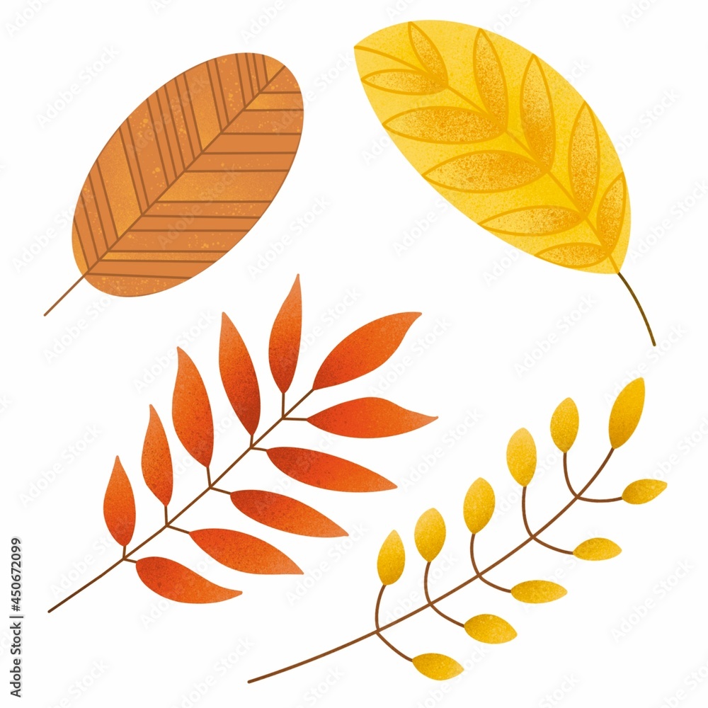 Set of autumn leaves and branches, red, yellow, brown isolated on a white background. Rowan and ash leaves.