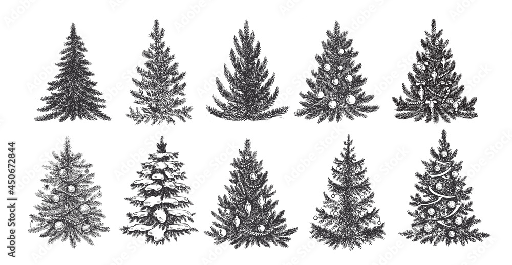 Fototapeta premium Christmas tree, hand drawn style, vector illustration