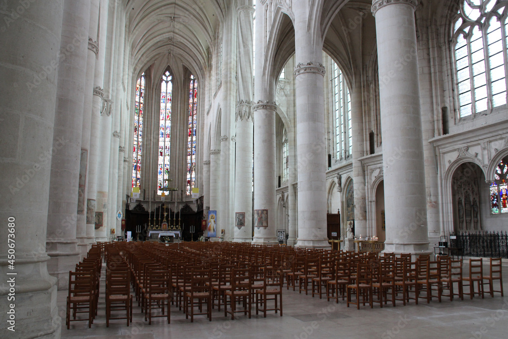 Fototapeta premium saint-nicolas basilica - saint-nicolas-de-port - france