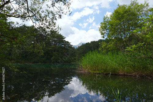 湖面に浮かぶ森（五色沼）