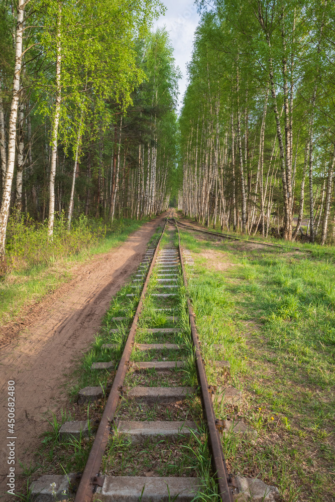 Old railway and birch tree alley by Baloži peat museum railway on spring evening in Latvia. 