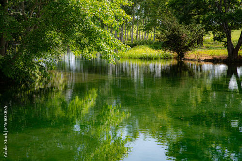 夏の羊蹄山の麓の池リフレ