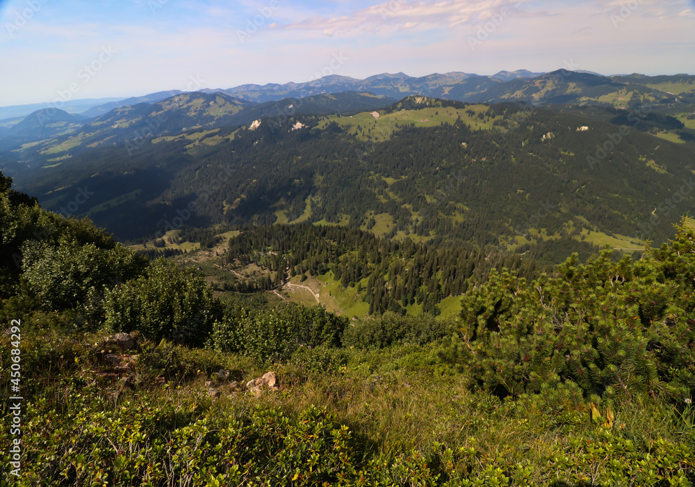 Alpenpanorama im Oberallgäu