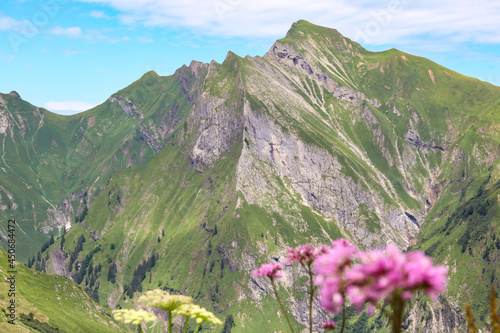 Alpenpanorama im Oberallgäu photo