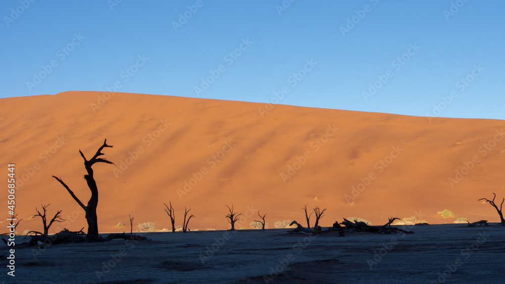 Dead tree branches at Deadvlei pan, located at Sossusvlei National Park, a popular tourist destination in Namibia Dead tree branches at Deadvlei pan, located at Sossusvlei National Park, a popular tourist destination in Namibia