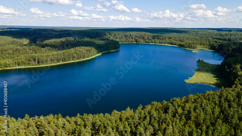 Aerial drone photo of green tree crones growing in lake shore. Nature landscape. Top view of a forest lake. Travel concept.