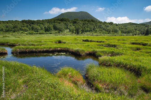 夏ニセコ神仙沼湿原 © 大西 親文