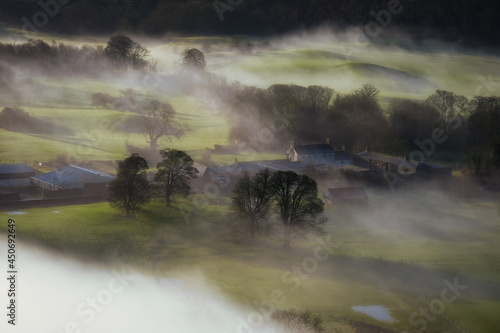 Irish rural nature in morning haze
