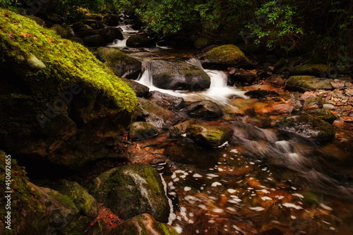 Fototapeta Naklejka Na Ścianę i Meble -  Wonderful mountain creek in deep forest