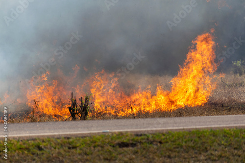 bush fire on the roadside © Leonidas