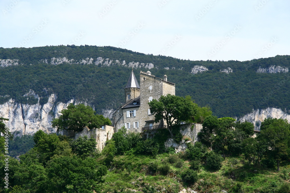 Le château de Châtillon dans le département de la Savoie en France