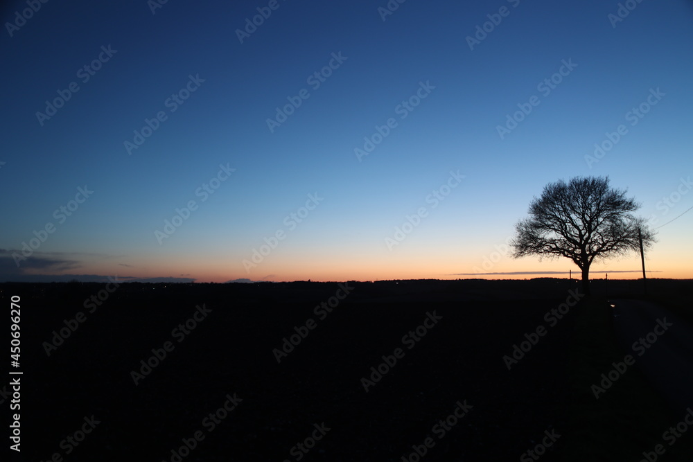 Sunset in the countryside with a tree 