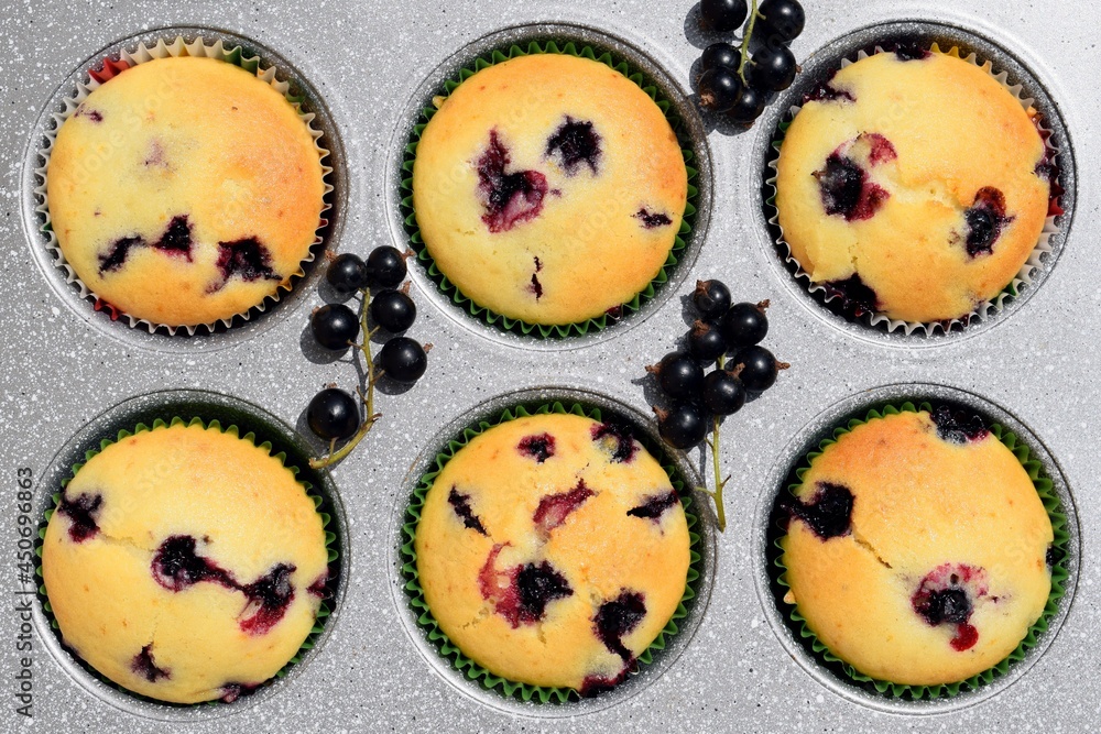 Summer baking - delicious homemade muffins with black currant in colorful paper moulds in baking tray, fresh currant around Summer baking - delicious homemade muffins with black currant in colorful paper moulds in baking tray, fresh currant around