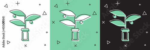 Set Plant breeding icon isolated on white and green, black background. Plants growing in the test tubes. Organic food ,agriculture and hydroponic. Vector