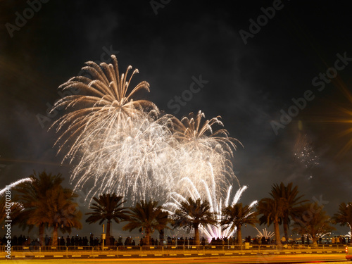 Fireworks for Qatar National Day