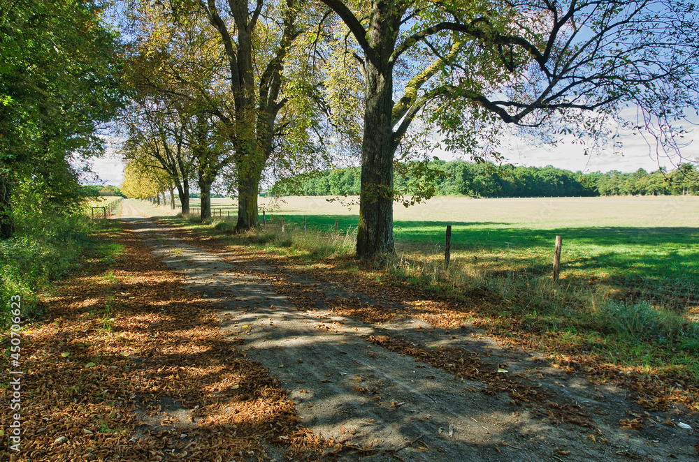 Fototapeta premium Paysages de Touraine, Nouzilly, Gatine Tourangele, France