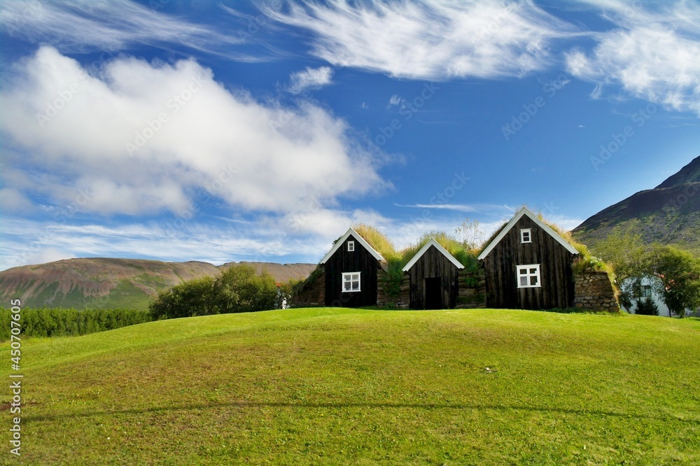 Icelandic traditional farmhouses in Holar village