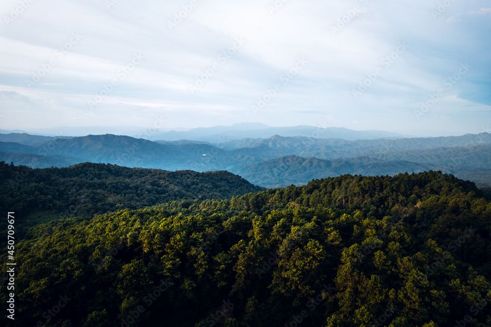 Obraz premium Mountains and summer green forests