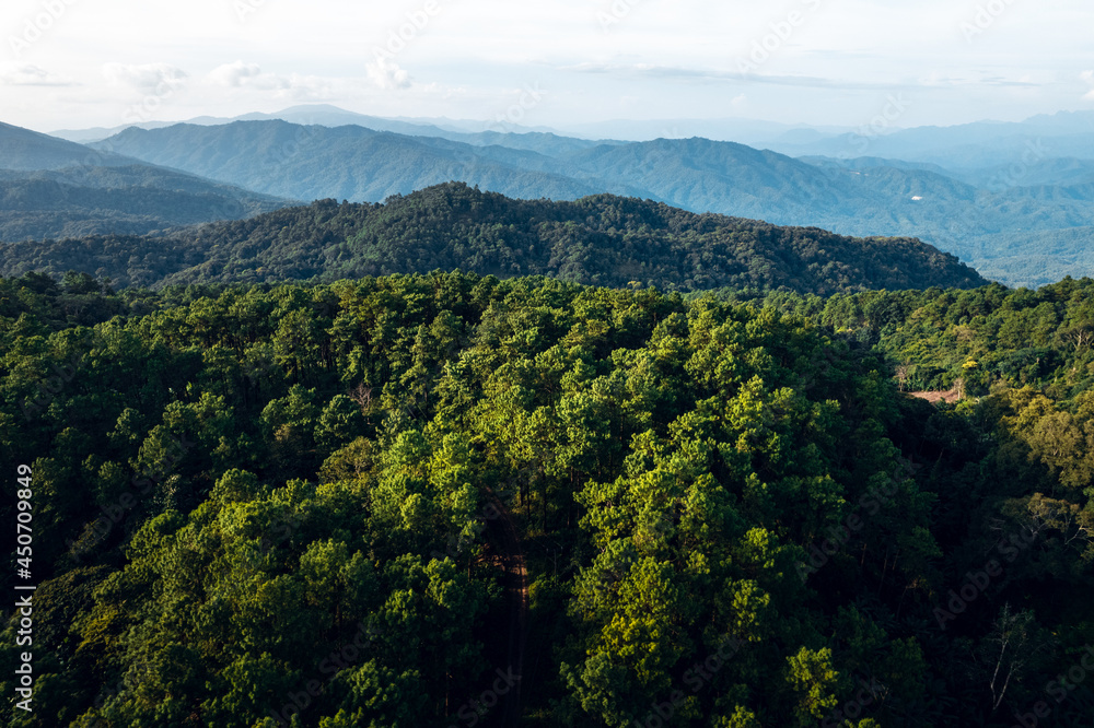 Mountains and summer green forests Mountains and summer green forests
