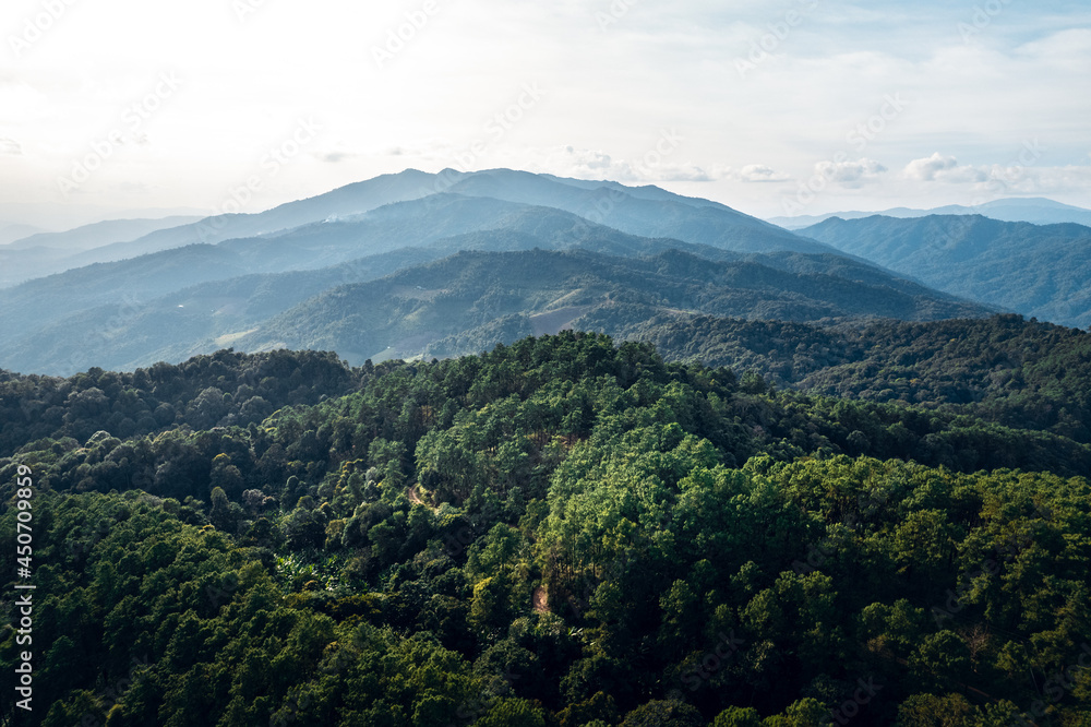 Naklejka premium Mountains and summer green forests