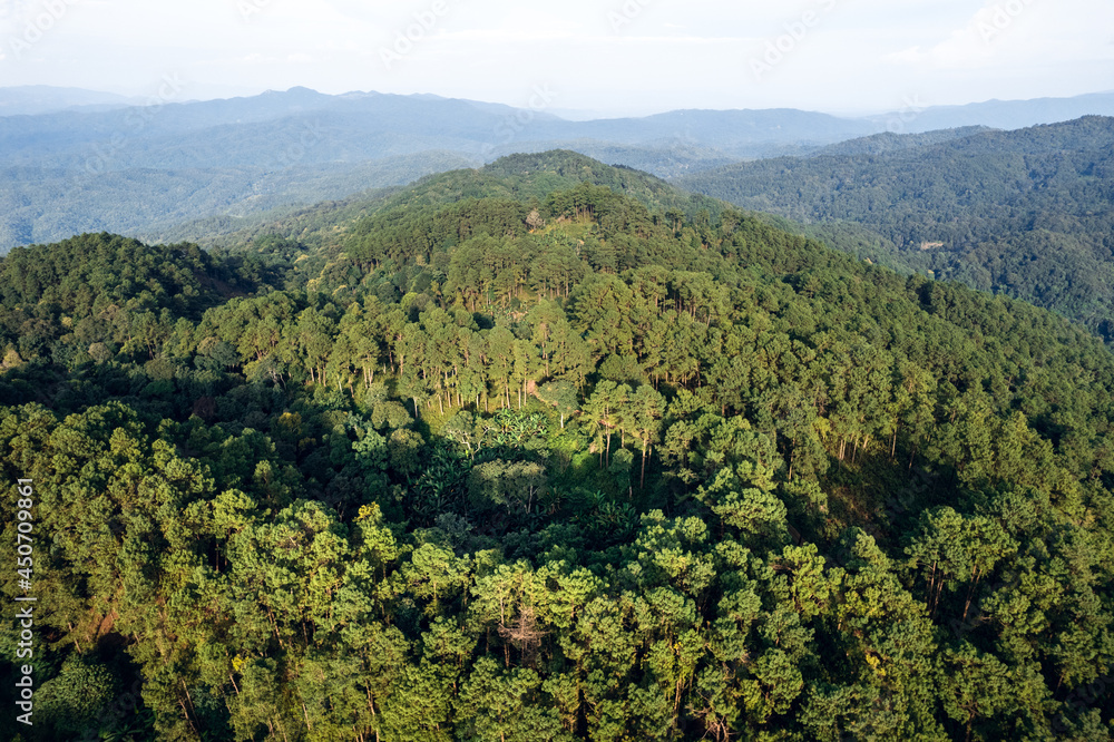 Mountains and summer green forests Mountains and summer green forests