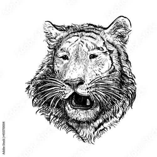 Hand drawn black and white sketch of Tiger. Wild animal. Tiger is a symbol of the 2022 Chinese New Year. Holiday vector illustration of Zodiac Sign of tiger for greeting card, flyer, banner, calendar © ledelena