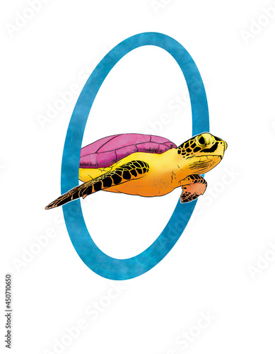 illustration of a turtle photo