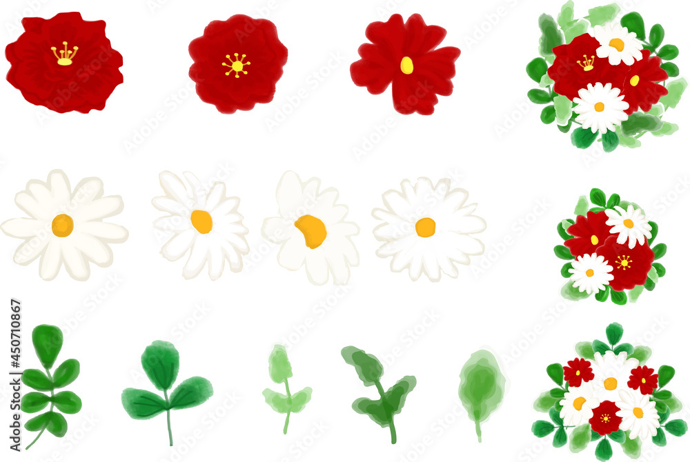Red and white flowers collection