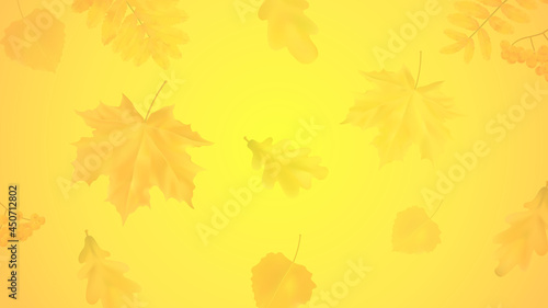 Empty seasonal autumn background with realistic leaves ash, maple, oak, aspen.