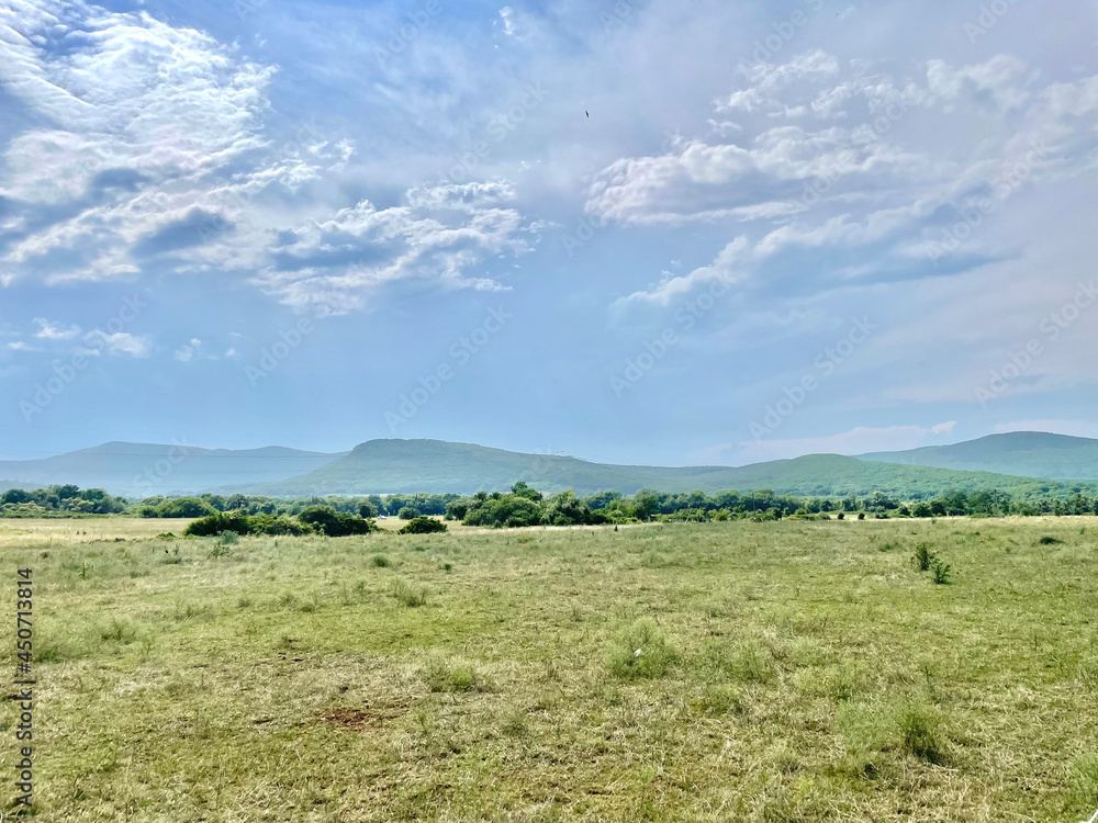 gorgeous summer landscape scene with field, mountain and blue sky gorgeous summer landscape scene with field, mountain and blue sky