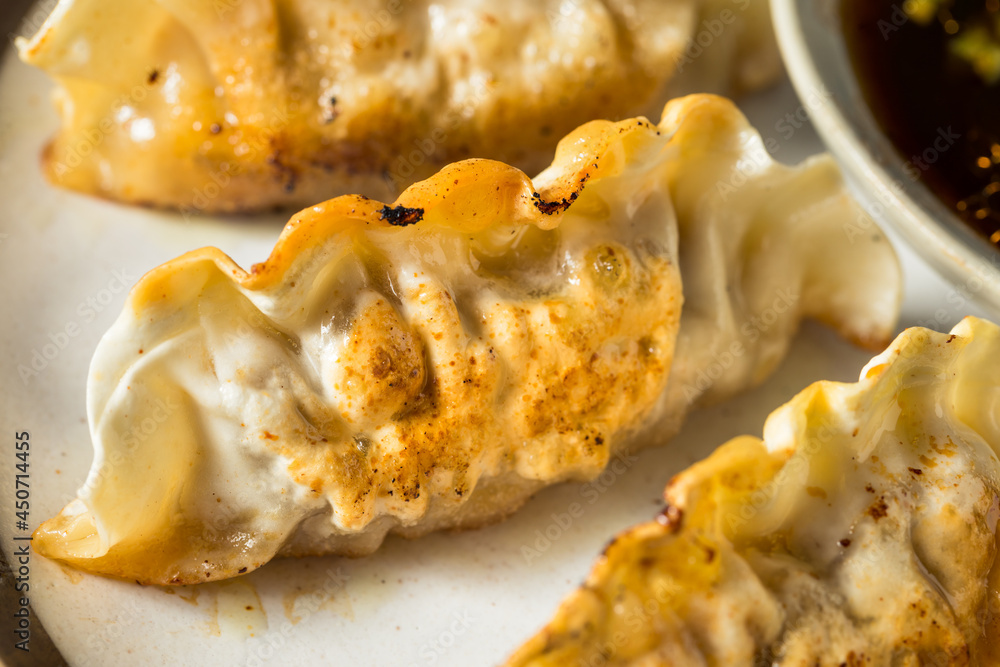 Homemade Korean Beef Mandu Potstickers Homemade Korean Beef Mandu Potstickers