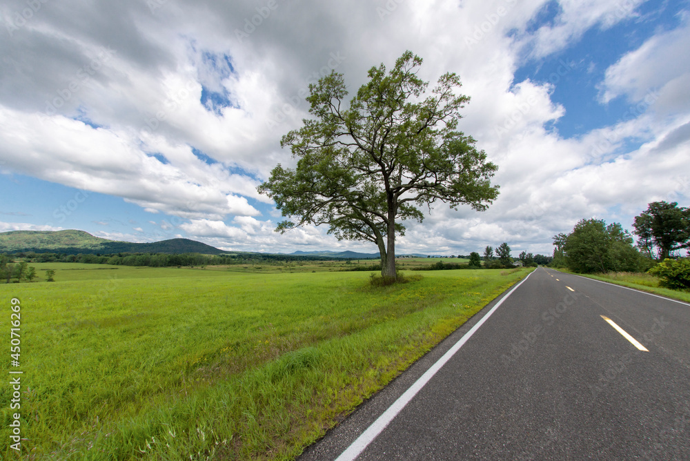 View of a road in perspective in summer in Essex County New York View of a road in perspective in summer in Essex County New York