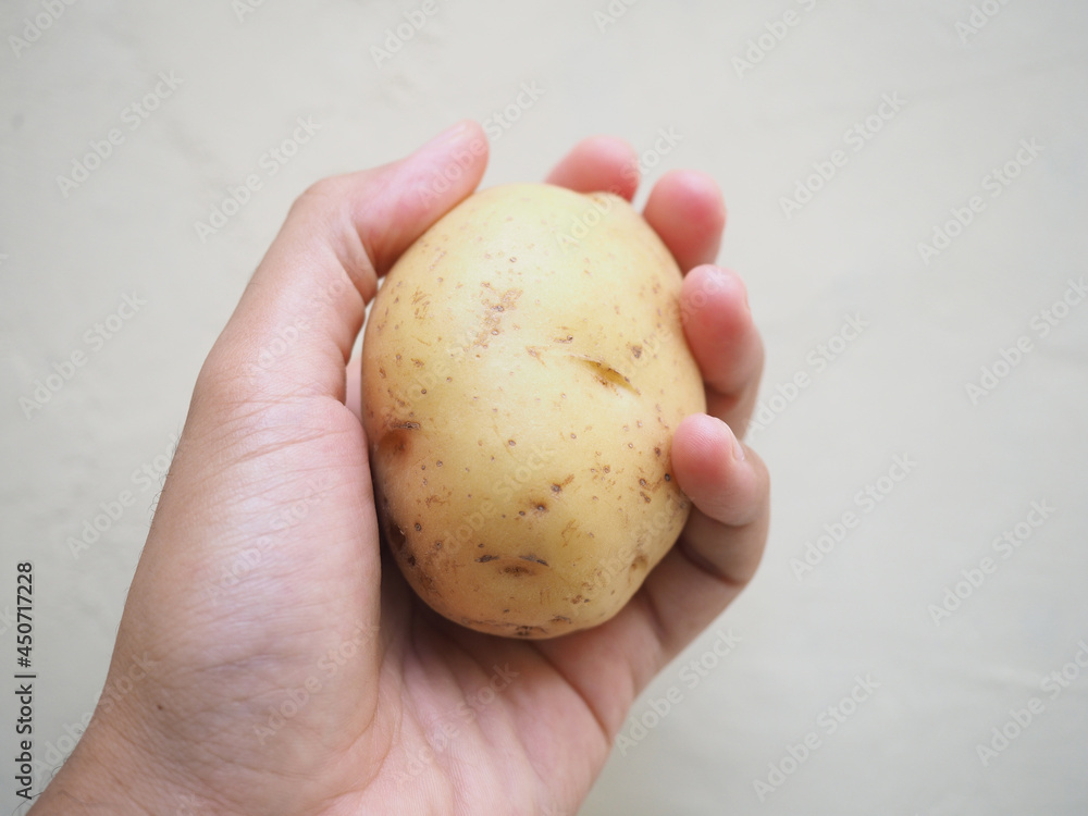 Hand holding raw potato (kentang) isolated on white Hand holding raw potato (kentang) isolated on white