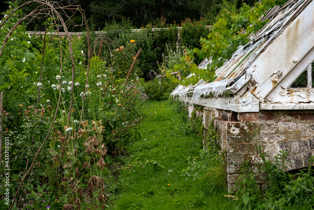 Country garden with greenhouse