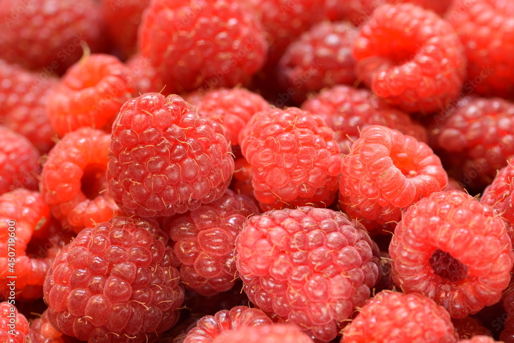 Raspberries, raspberry fruits background, fresh fruits. Raspberries, raspberry fruits background, fresh fruits.