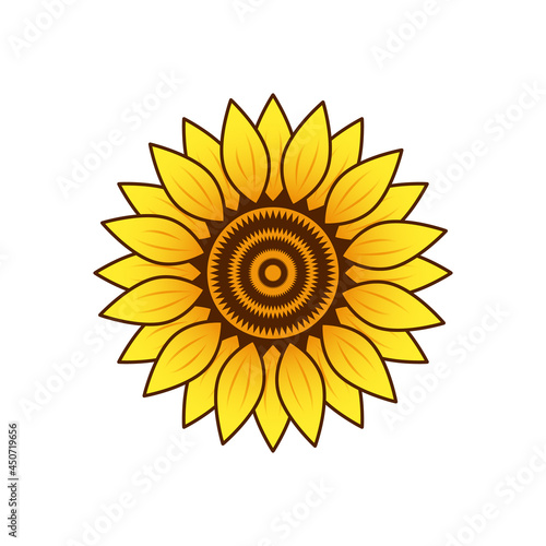 sunflower isolated on white background