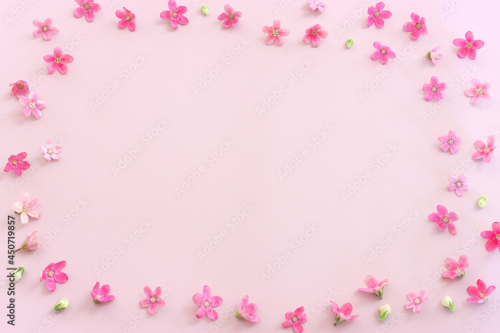 Top view image of pink flowers composition over pastel background .Flat lay