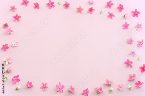 Top view image of pink flowers composition over pastel background .Flat lay © tomertu