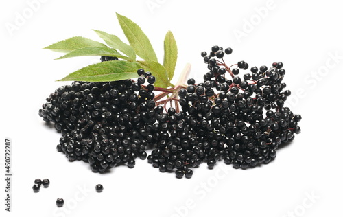 Danewort, dwarf elder plant with elderberries and leaves on twig isolated on white background with clipping path (sambucus ebulus)