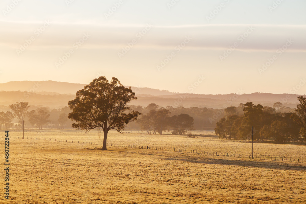 Australian Country Road at Sunset near Bendigo Australian Country Road at Sunset near Bendigo