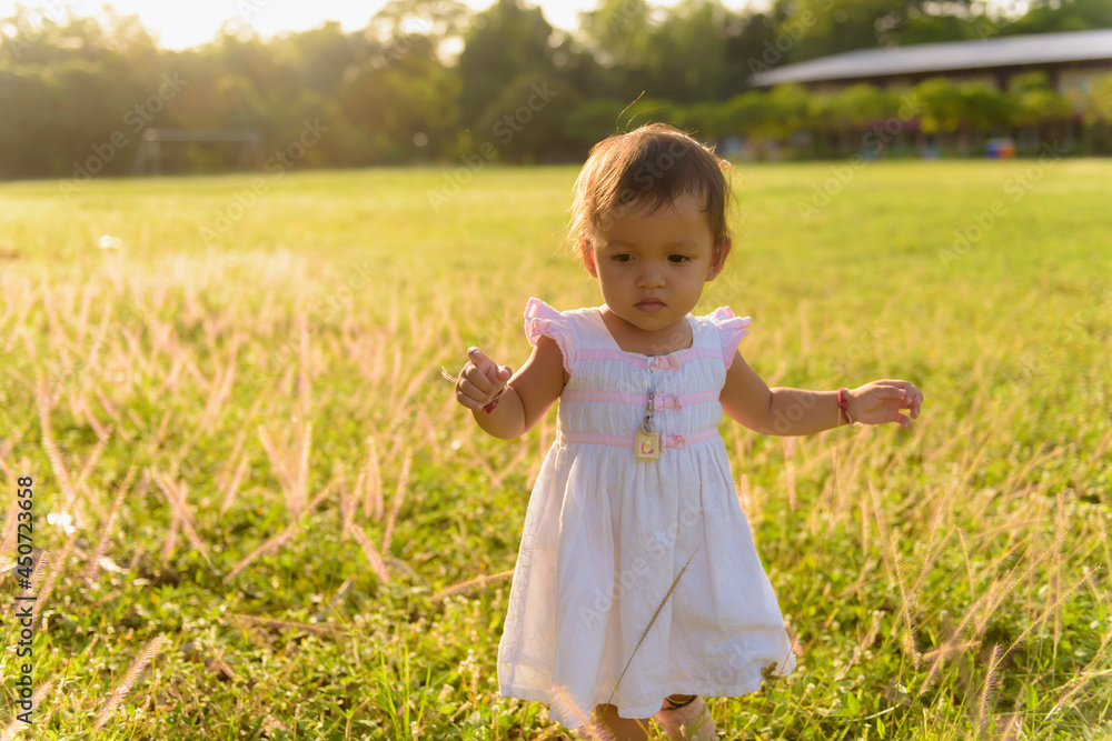 Close-up of Asian baby girl walking in the meadow with copy space Happy family day concept. Silhouette.