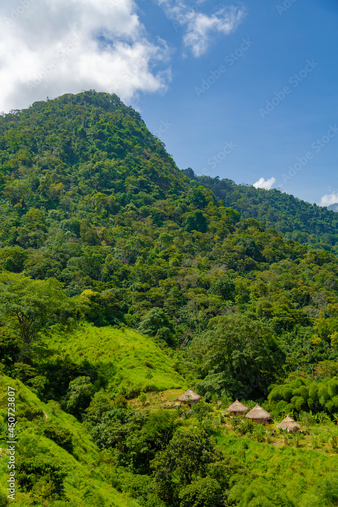 Indígenas de la Sierra Nevada de Santa Marta Indígenas de la Sierra Nevada de Santa Marta