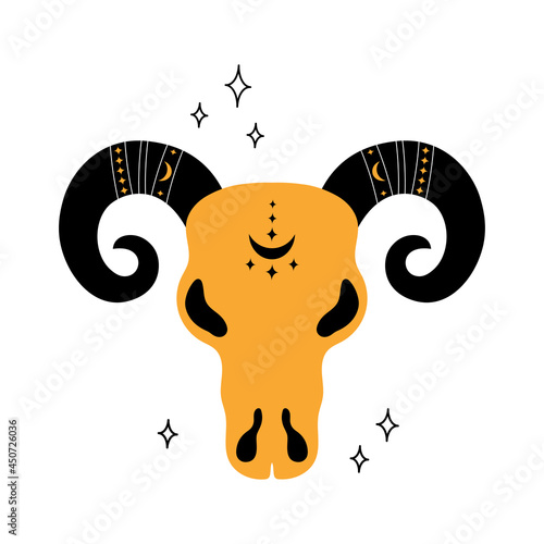 ram skull isolated on white, vector illustration
