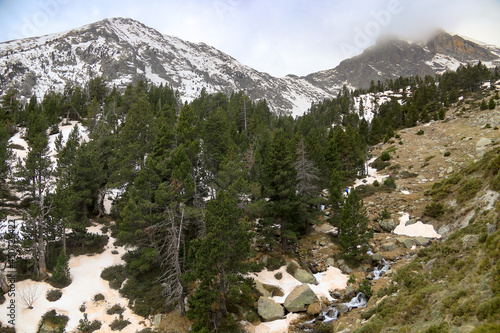 Vallter 2000