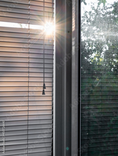 Wallpaper Mural window blinds rays of the sun Torontodigital.ca