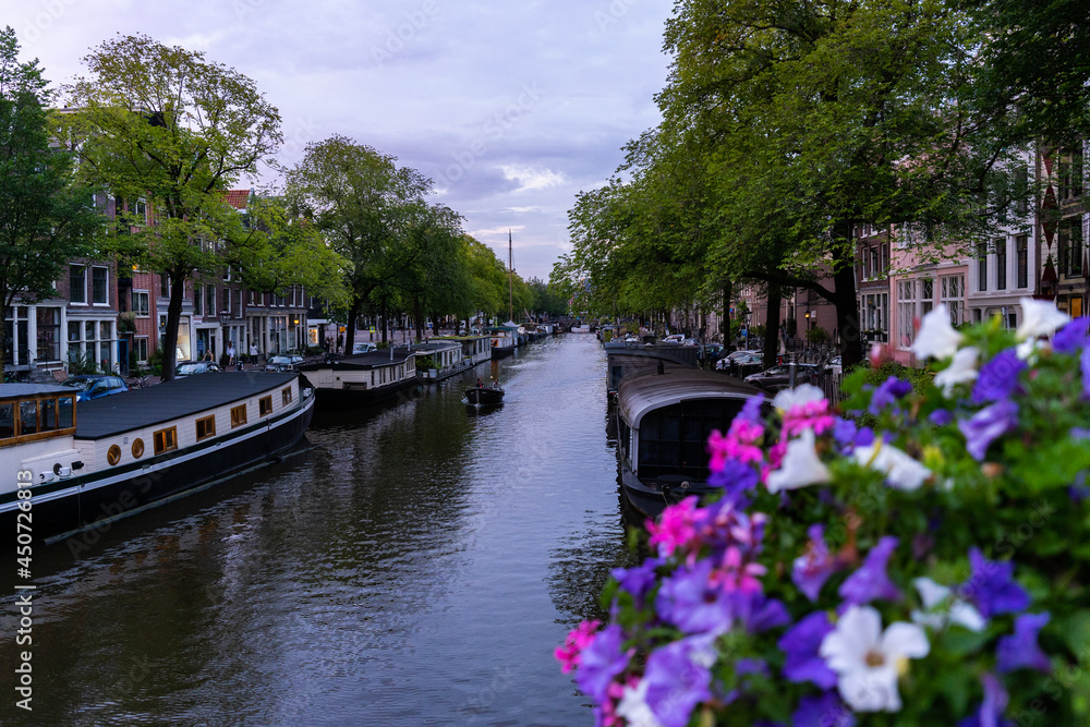Amsterdam Canal and Flowers