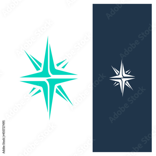 Eye catching unique star logo concept