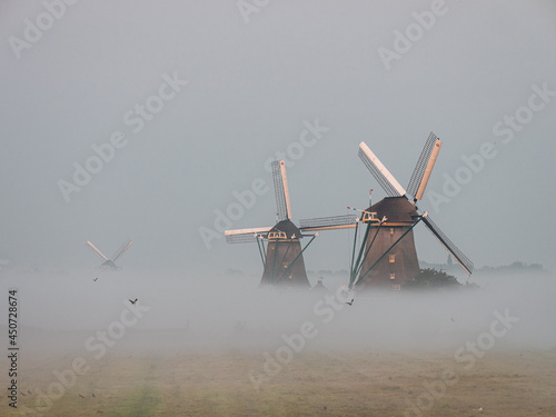 Classic Dutch windmills in morning fog over farm fields in Aarlanderveen, The Netherlands - typical Dutch countryside scenery photo