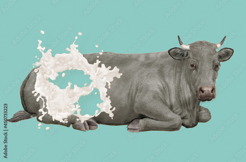 vache laitière, ferme, animal, bétail, champ, en repos, animal, plein